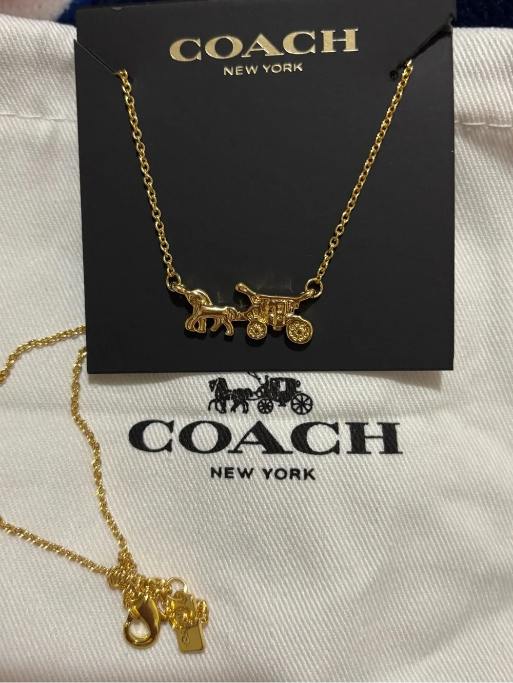 Coach nwt beautiful